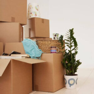 ervaring opruimcoach van hoven organizing angel